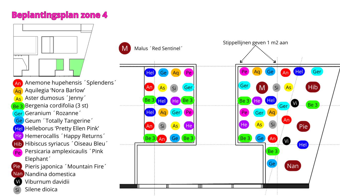 Beplantingsplan Beplantingsplan. Dit is een plattegrond waarop staat welke planten op welke plaats gezet moeten worden in de tuin.
