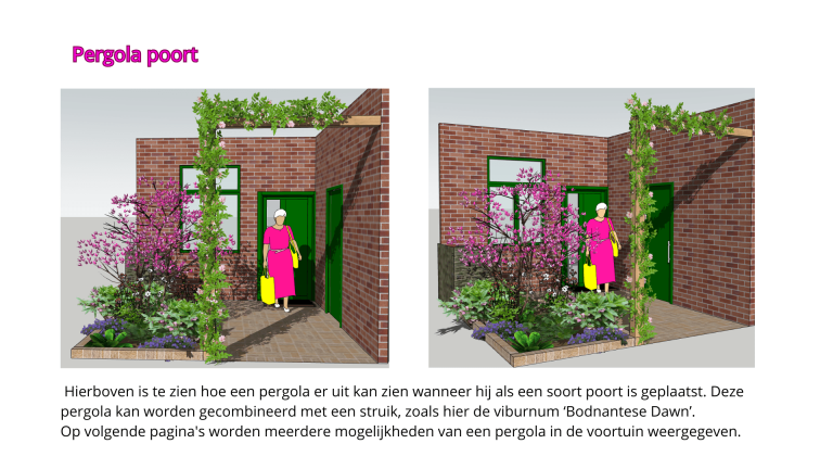 Illustratie pergola voortuin. Voortuintje met een persoon voor een deur, groen in de tuin en bloemen aan de zijkanten.